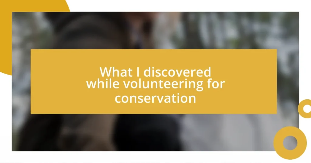 What I discovered while volunteering for conservation