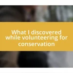 What I discovered while volunteering for conservation